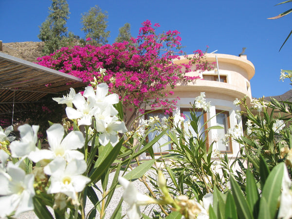 The house is located outside the village on a 4000 square meters of land, in the Wain, Germany Fantastic accommodation south coast of Crete Entire home vacation rental 17456800