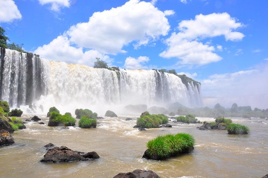 Brazilian Falls  Bird Park and Itaipu Dam from Foz do Iguaçu  Private Tours and Travel Guide America Sao Paulo CITY Foz do Iguacu Destination Tour