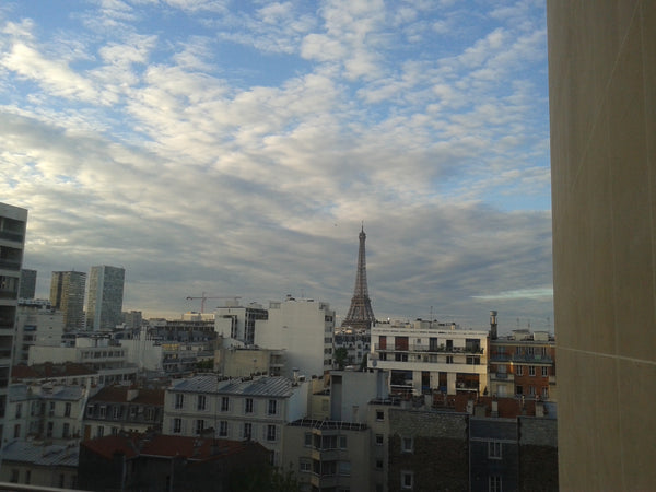 Bienvenue à Paris dans ce lumineux, calme, confortable appartement partagé ! <br Paris, France Appartement lumineux avec vue sur la Tour Eiffel Private room in condo vacation rental 13489744