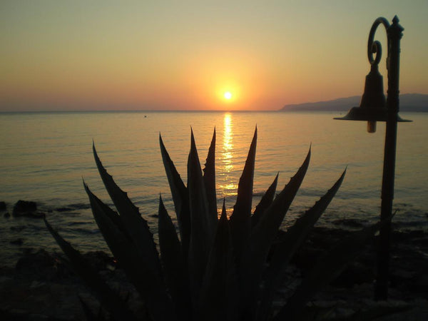 Das Objekt ist Wochen-Monatsweise zu mieten. Genießen Sie Ihre privacy, an diese  Amazing Traditional Home on Beach Cycladic home vacation rental 710564