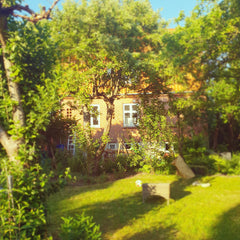 Nyrenoveret Villalejlighed i ældre hus, på stille vej i gåafstand fra amager str Copenhagen, Denmark Villalejlighed tæt på strand, metro og lufthavn Entire rental unit vacation rental 42311044