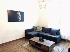 We are hosting a beautiful, modern and comfortable apartment (92 sqm) in one of  Antwerp, Belgium Discover Antwerp, start in a beautiful apartment! Entire rental unit vacation rental 30976426