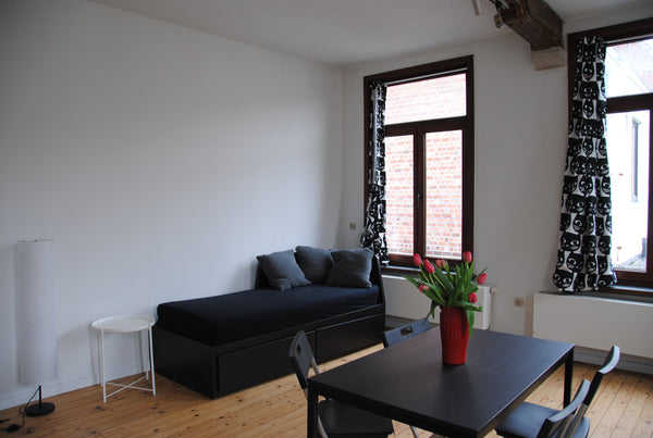Quiet apartment in the historic city center of Ghent, in a residential area near Ghent, Belgium Cozy apartment in the historic center Entire rental unit vacation rental 25970539