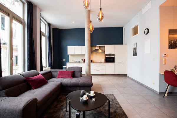 The fully renovated and tastefully furnished apartment is located in the heart o Belgrade, Serbia 1 All New Luxe appartment+Parking Near Grand Place Entire rental unit vacation rental 38100101