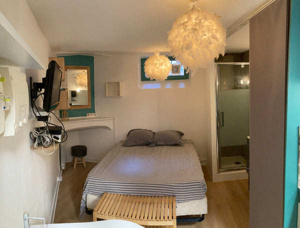 il s’agit d’un petit studio de 15m2 où tout se trouve dans la même pièce façon c Lyon, France studio centre ville tout à pied Entire rental unit vacation rental 682663679267355408