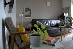Small apartment perfectly located nearby the Nørrebro’s lakes and the famous "Ra Copenhagen, Denmark Charming apart. with garden in the heart Nørrebro Entire condo vacation rental 51163483