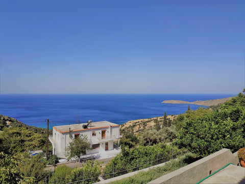 A spacious Apartment in a quiet and natural environment with great sea view. Aut  Palaiopolis View Traditional Apartment Entire rental unit vacation rental 20446425