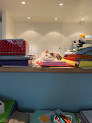 Passez un agréable séjour dans cet hébergement confortable.<br /><br /><b>Licens  Lyon appartement mezzanine Entire rental unit vacation rental 748303865694807966