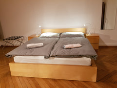 Schöne Altbauwohnung direkt bei der U-6 Station, Strassenbahn und Citybike-Stati Vienna, Austria Helle Altbauwohnung 65m² - bright 3 Room Apartment Entire rental unit vacation rental 33427950