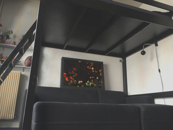 Charmant studio situé au coeur du 11e, entre Oberkampf et Saint Ambroise. Au fon Paris, France Charmant studio au coeur du 11e Entire rental unit vacation rental 7122766