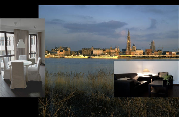 Renovated, fully equipped and sunny apartment with fantastic view onto the “Paga  Cosy Antwerp City Center apartment Entire rental unit vacation rental 26347234