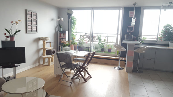 Spacious and bright apartment at 20 minutes by metro from historical center. Hug Paris, France Wonderful view on Eiffel tower Entire rental unit vacation rental 15155658