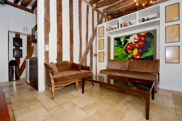 Vous apprécierez mon logement pour la luminosité, la hauteur des plafonds et le  Paris, France MARAIS HIGH CEILING Entire rental unit vacation rental 15737376