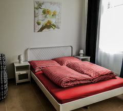 Das gemütliche 39 m² Appartement befindet sich im 1. Obergeschoss eines neu sani  TOP 4!  Große Wohnung - zentrumsnahe Entire rental unit vacation rental 33812962