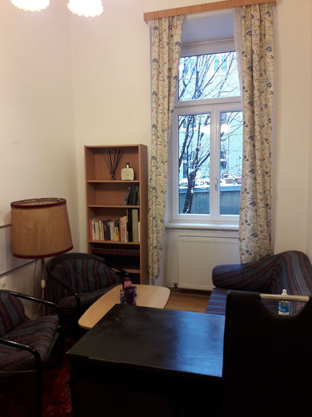 Vienna, Austria Beautiful room In Viennese Appartment /Center Private room in bed and breakfast vacation rental 564900677959242166
