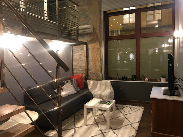 Dijon, France Bel appartement 70 m2 place guichard Entire rental unit vacation rental 30502301