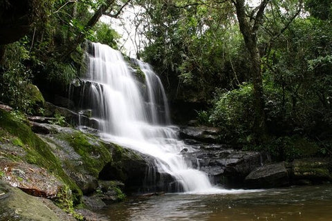 Day tour to “National Park Ybycuí”  Private Tours and Travel Guide America Asuncion CITY Asuncion Destination Tour America Asuncion CITY Asuncion