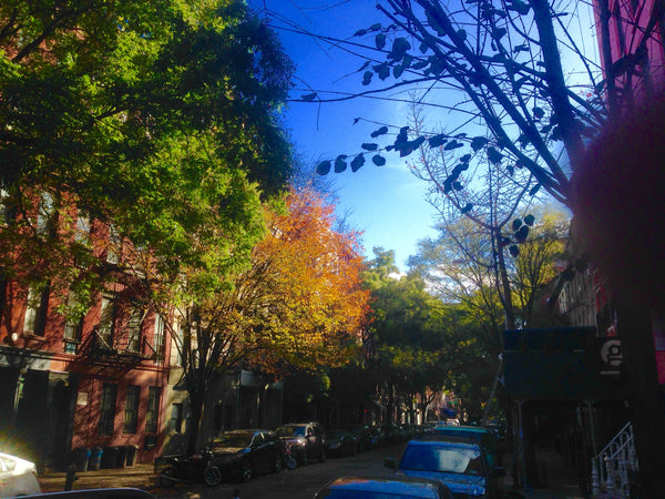 Enjoy the Holidays in New York City!<br /><br />Sitting on a quiet, tree lined s New York, NY Rental unit in New York · 3 bedrooms · 3 beds · 1 bath Entire rental unit vacation rental 9525490