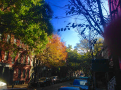 Enjoy the Holidays in New York City!<br /><br />Sitting on a quiet, tree lined s New York, NY Rental unit in New York · 3 bedrooms · 3 beds · 1 bath Entire rental unit vacation rental 9525490