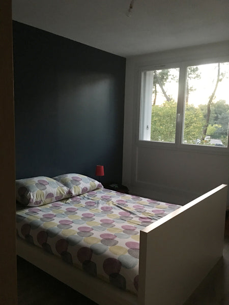 Chambre spacieuse et lumineuse, vous aurez accès <br /> à la cuisine pour vous p Talence, France Chambre spacieuse et lumineuse refaite à neuf Private room in condo vacation rental 33865262