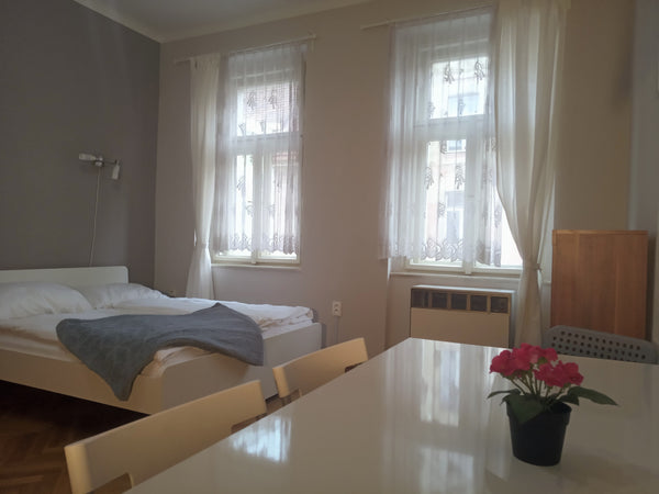 The third ground (no lift!) large apartment (50 m2) is located near the city cen  Nice and large apartment Zuzana near the center Entire rental unit vacation rental 20643670