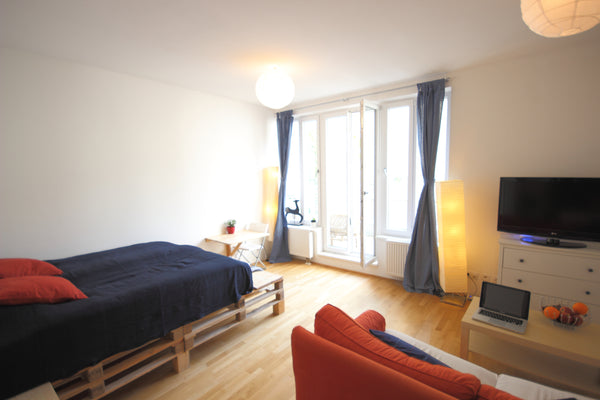The newly renovated flat with terrace is located in beautiful 