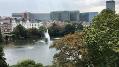 Special price due renovation facade <br /><br />Cosy appartment 5th floor in a v Brussels, Belgium A quiet apartment 5th floor in the EU district. Entire rental unit vacation rental 29300356