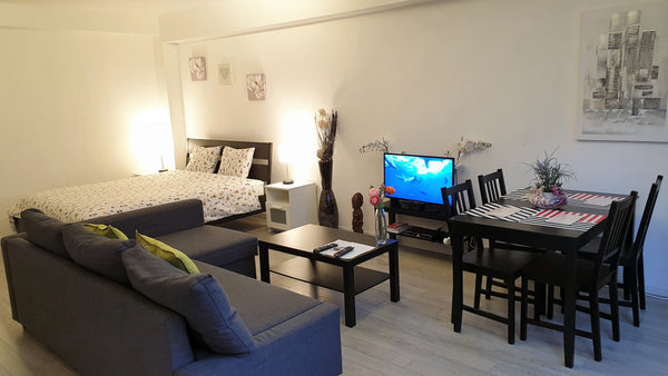 Très beau studio, spacieux et bien équipé.<br />Situé en au coeur du centre hist Brussels, Belgium Studio Exécutif Entire condo vacation rental 11298174