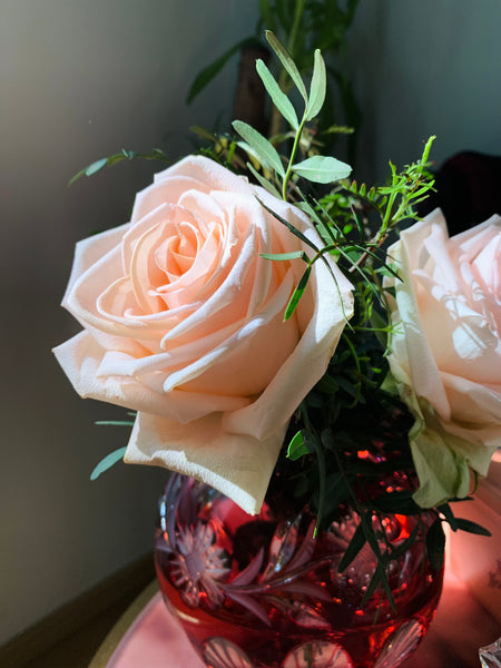 Genieße das einfache Leben in dieser ruhigen und zentral gelegenen Unterkunft. D Vienna, Austria Verträumte Stadtoase Private room in rental unit vacation rental 633941650414391754