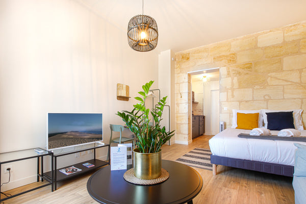 Superb apartment full of charm for 4p, overlooking the Saint-Jean Station<br /><  Superb apartment full of charm for 4p Entire rental unit vacation rental 567918183803322686