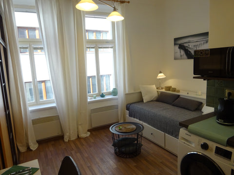 Apartmán se nachází v centru města, asi 5 minut chůze od Václavského náměstí, v  Prague, Czechia Apartmán Příčná, Praha 1 Entire condo vacation rental 649079774263677165