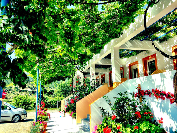 Alexi's studios are located in the beautiful village of Kefalos and run by a loc London, United Kingdom Alexis studios 1 Entire rental unit vacation rental 6617450