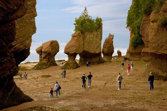 Hopewell Rocks Admission  Private Tours and Travel Guide  CITY Hopewell Cape Destination Tour