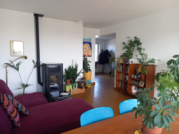 Penthouse met fenemonaal uitzicht te huur in Brussel. <br />Dichtbij openbaar ve  Penthouse in Koekelberg Entire condo vacation rental 652806932723577904