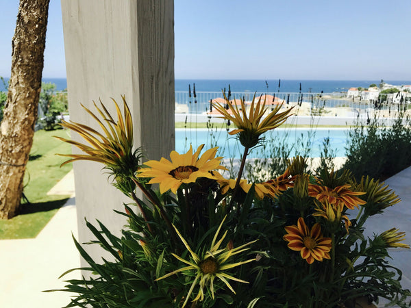 This house used to be our family's hideaway for the summer. Now it is totally re Chania, Greece Thea Thalassa Entire villa vacation rental 18730516