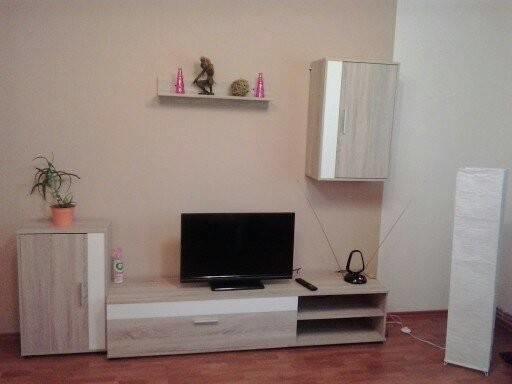Chu'zu in Housing Decoration<br />Rental is not allowed in house decoration for  Karlovy Vary, Czechia EuroKan Apartman Entire rental unit vacation rental 33977173