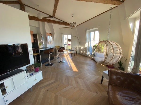 BELLE APPARTEMENT, PRES DU CANAL SAINT MARTIN, TROIS CHAMBRES SPACIEUSES, DEUX S Paris, France CENTRE DE PARIS- Gare du Nord - Canal St-Martin Entire rental unit vacation rental 3002119