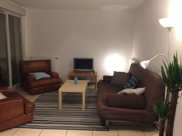 Appartement  au calme, spacieux, confortable, au pied du métro ligne D Arrêt Val Lyon, France Appartement 3 pièces métro Valmy (Ligne D) Entire rental unit vacation rental 21640014