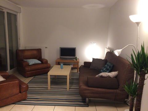 Appartement  au calme, spacieux, confortable, au pied du métro ligne D Arrêt Val Lyon, France Appartement 3 pièces métro Valmy (Ligne D) Entire rental unit vacation rental 21640014