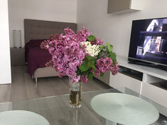 Un studio charmant dans 15 arrondissement de Paris, à  seulement 150 mètres de m Paris, France Modern studio near Eiffel Tower Entire rental unit vacation rental 20177679