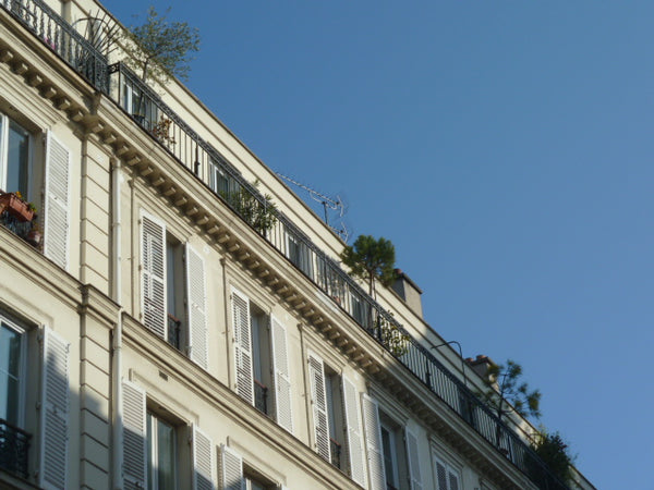 Dans le haut Marais, à proximité de la Bastille, ce grand appartement de charme  Paris, France Bastille Marais :espace et lumière Entire rental unit vacation rental 2528389