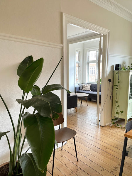 Denne lejlighed er en gammel københavnerlejlighed, som oser af charme. Den er 94  Charmerende københavnerlejlighed Entire rental unit vacation rental 42656576