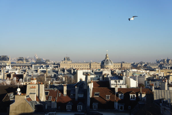 Location longue durée - <br />Loue chambre indépendante à Saint Germain des Près Paris, France Room in the heart of Paris Entire rental unit vacation rental 6754248