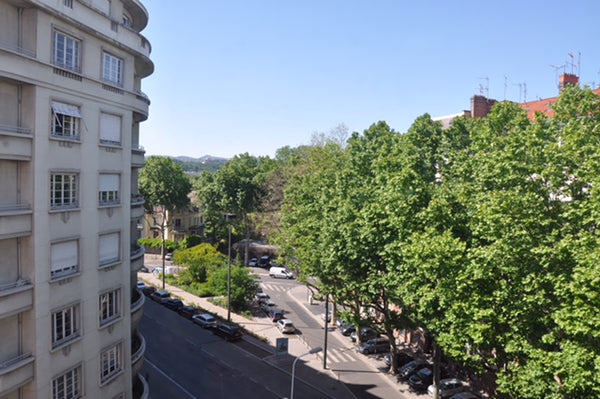 Proximité Parc de la Tête d'Or, Clinique du parc, Lyon 6, Villeurbanne Paris, France Chambre Parc Tête d'Or / Villeurbanne Private room in rental unit vacation rental 22224305