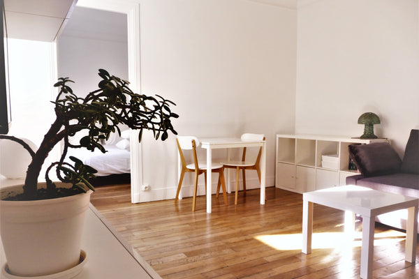 Appartement parisien lumineux de 37m2 type 1900 avec moulures et parquet donnant Paris, France Appartement Paris 10ème arrondissement Entire rental unit vacation rental 29071093