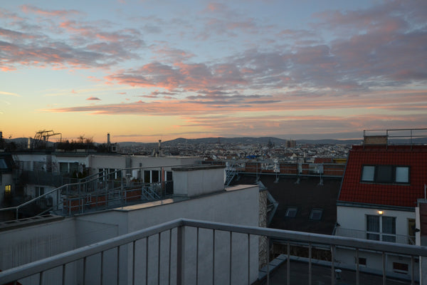 Clean, very bright, calm, shared student flat with private room with your own ro Vienna, Austria Bright room with private roof-terrace Private room in rental unit vacation rental 32125290