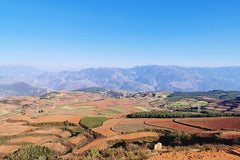 Private Day Tour to Red Land in Dongchuan from Kunming  Private Tours and Travel Guide Asia Shanghai CITY Kunming Destination Tour Asia Shanghai CITY Kunming