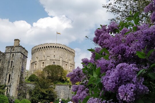 Half Day Private Guided Tour of Windsor Castle PLUS and History  Private Tours and Travel Guide Europe London CITY London Destination Tour