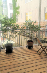 Genieße das einfache Leben in dieser ruhigen und zentral gelegenen Unterkunft. U Vienna, Austria Ruhige Art-Garconiere mit Balkon Entire condo vacation rental 605405194203811706