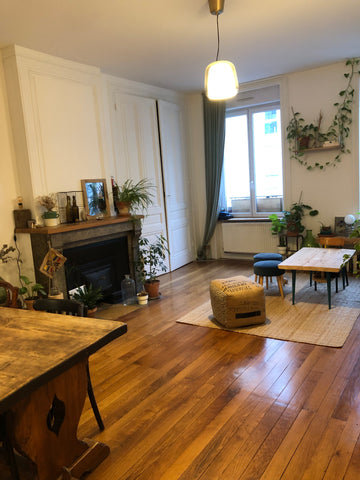 Bel appartement type ancien avec cheminées décoratives dans le 7ième arrondissem Lyon, France Bel appartement T2 - 57m2 Entire rental unit vacation rental 766005853008242127